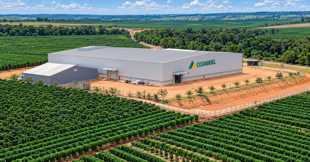 Faturando R$3 bilhões, Cooabriel comemora 63 anos