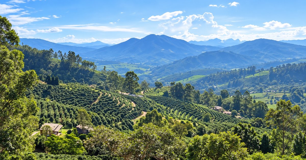 Produção agrícola capixaba chega a R$ 33,7 bilhões e aumenta participação nacional